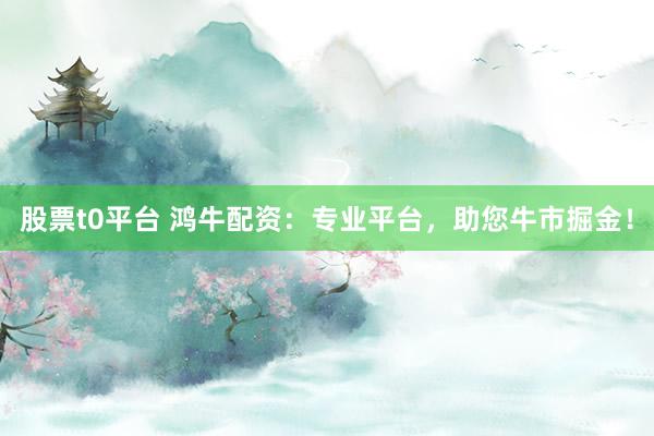 股票t0平台 鸿牛配资：专业平台，助您牛市掘金！