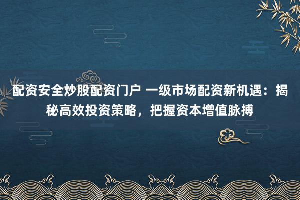 配资安全炒股配资门户 一级市场配资新机遇：揭秘高效投资策略，把握资本增值脉搏