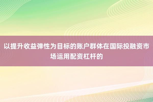 以提升收益弹性为目标的账户群体在国际投融资市场运用配资杠杆的