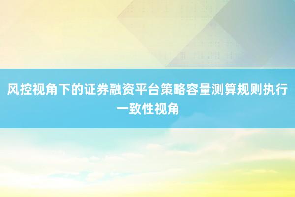 风控视角下的证券融资平台策略容量测算规则执行一致性视角