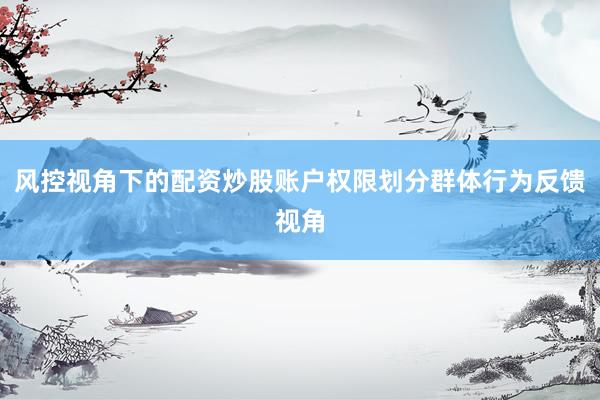 风控视角下的配资炒股账户权限划分群体行为反馈视角