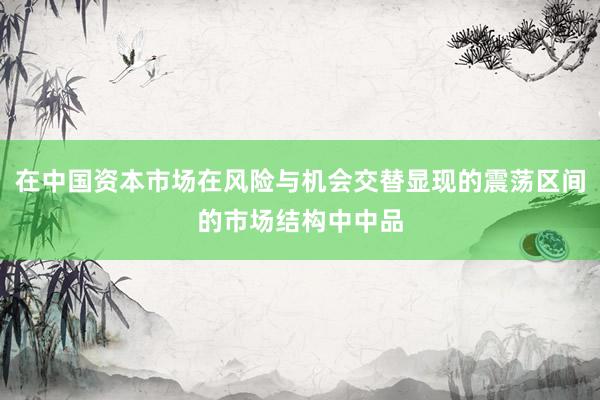 在中国资本市场在风险与机会交替显现的震荡区间的市场结构中中品