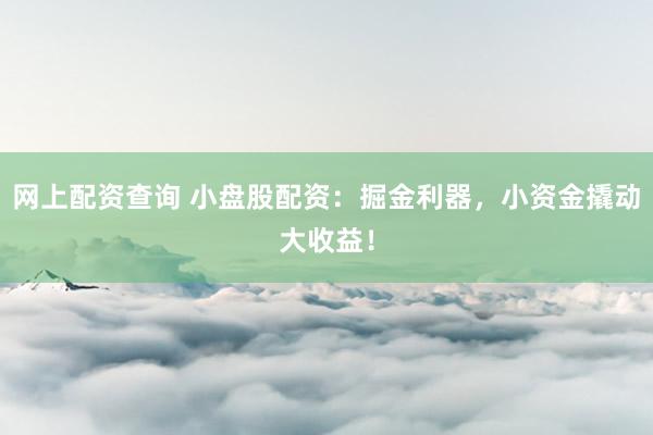 网上配资查询 小盘股配资：掘金利器，小资金撬动大收益！