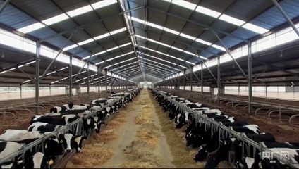 青海省生态畜牧业生产技术集成模式实现增收3000多万元